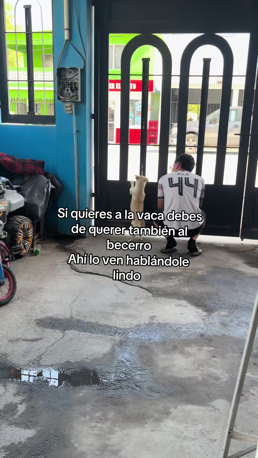 @Perlaarevalo2002