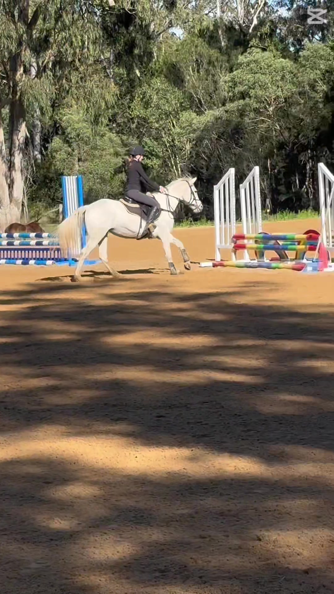 @lili.may_eq
