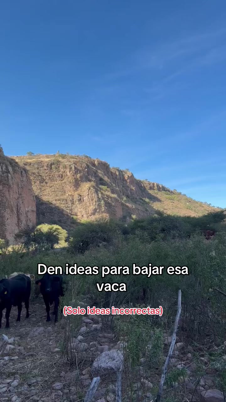 @JuaNito