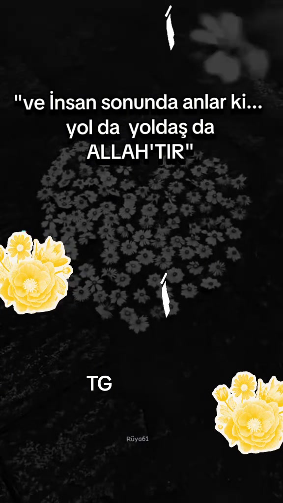 @Talip Ezman