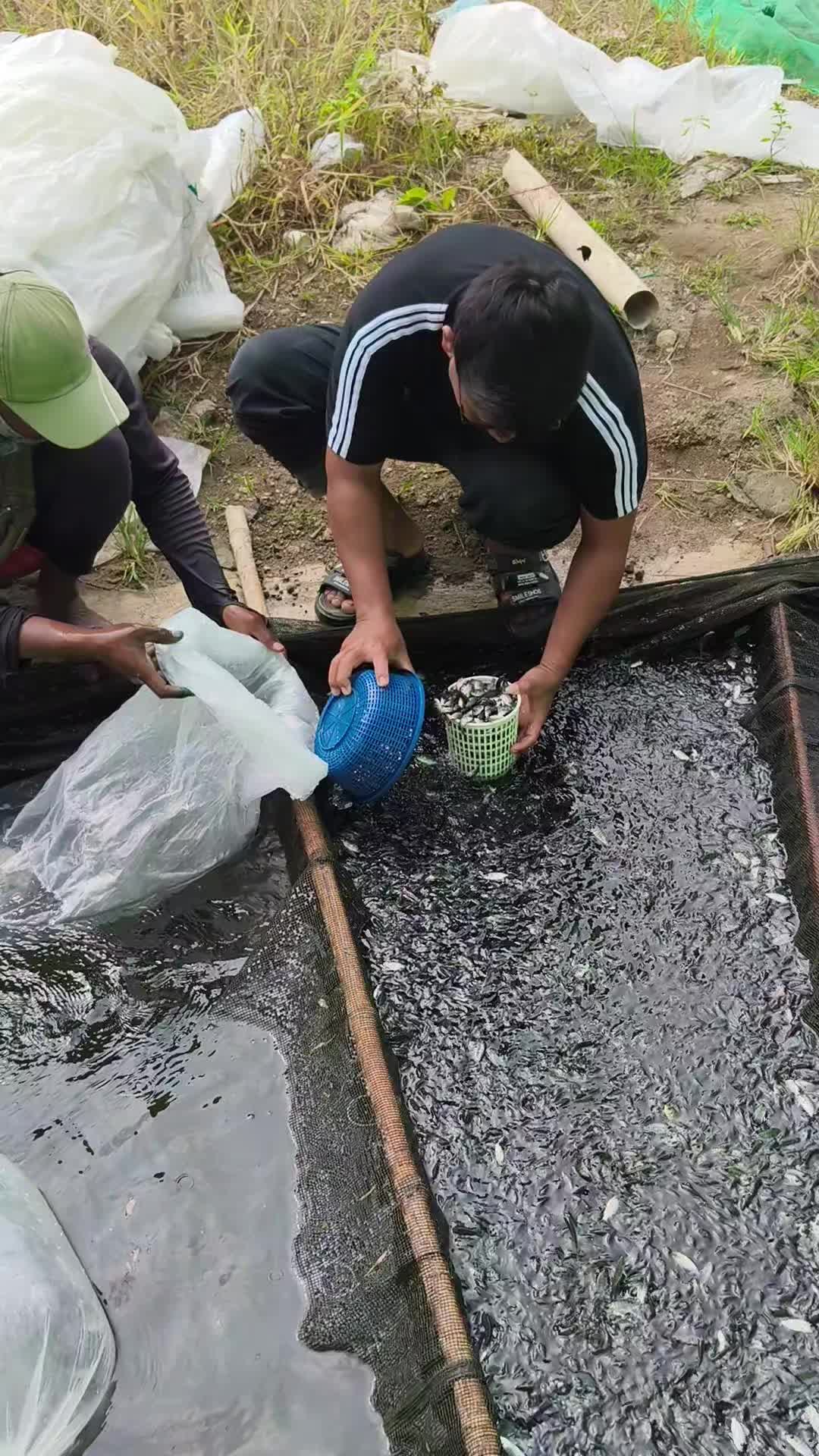 @Rio rikardo