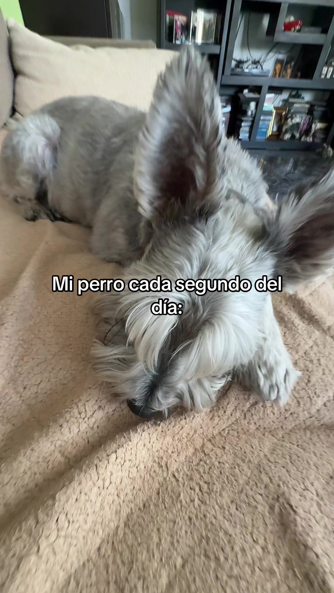 @santi_.styles