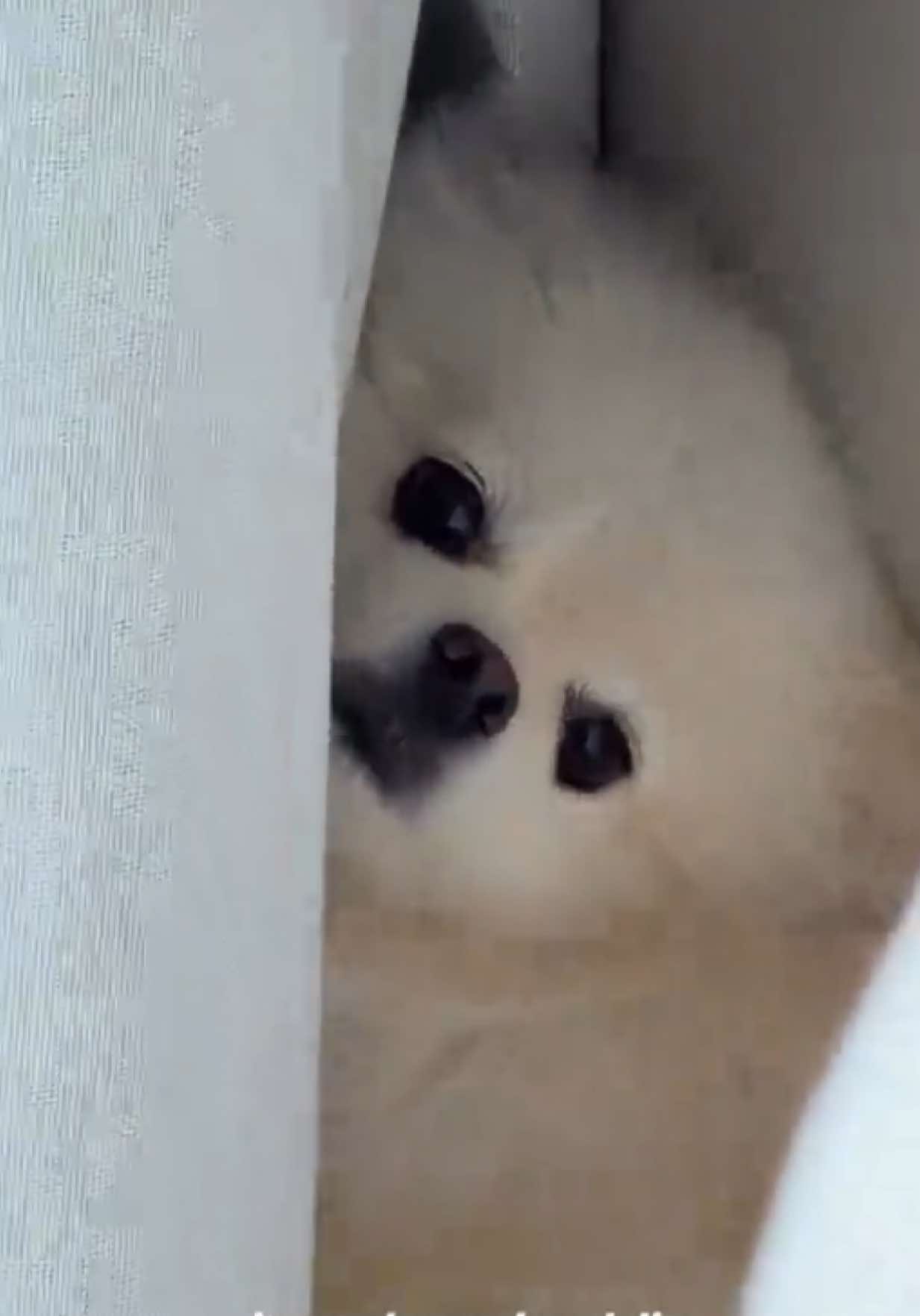 @๐๐ฎ๐ป๐ท๐ฎ๐ผ๐ฟ๐ฒ๐ญ๐ฎ๐ธ