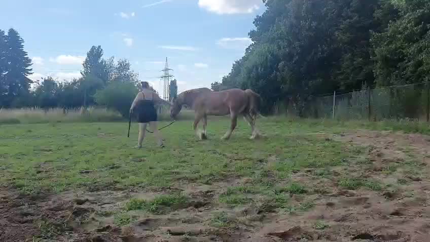 @Ride & Rescue
