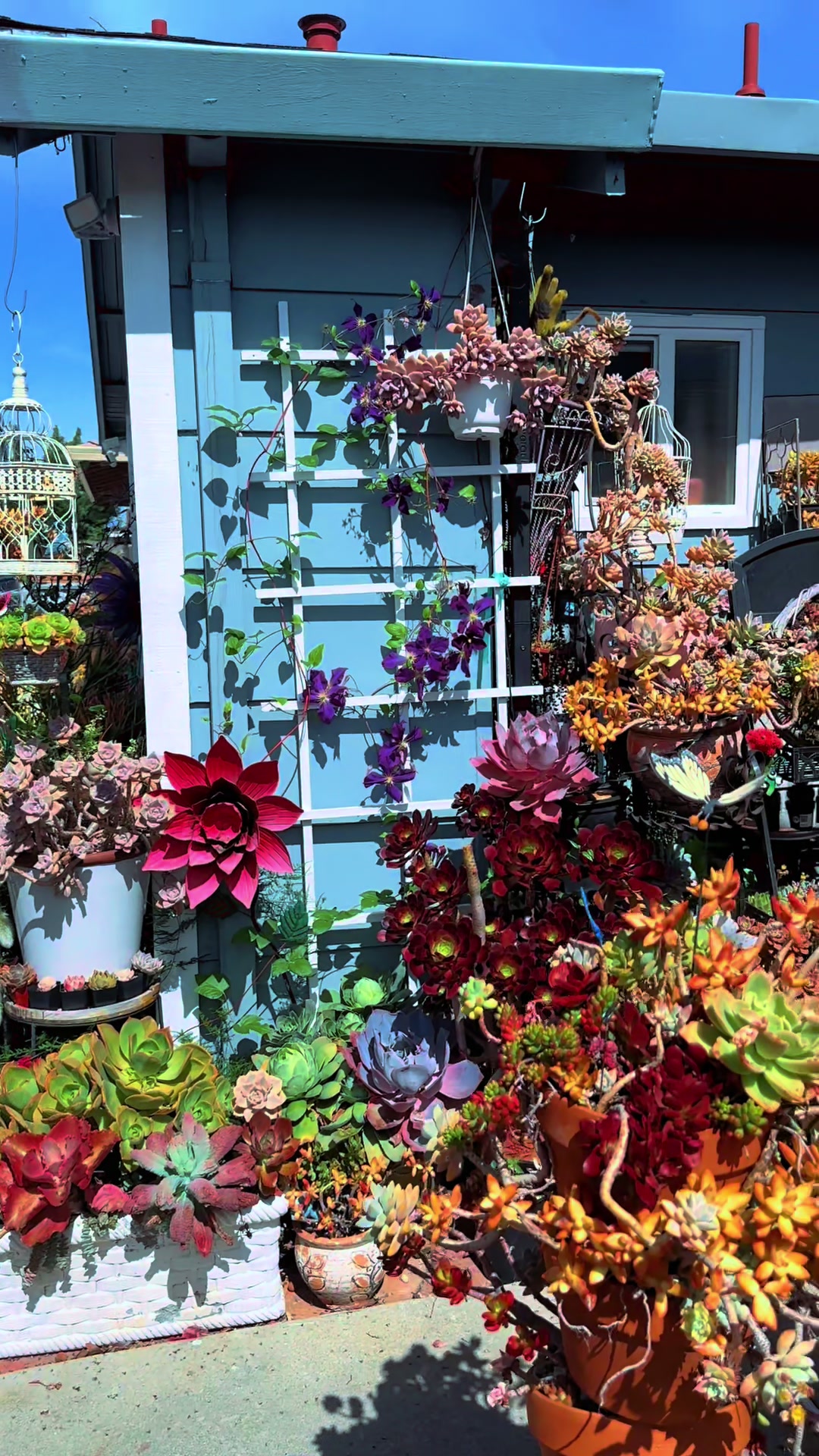@euphoriablooms