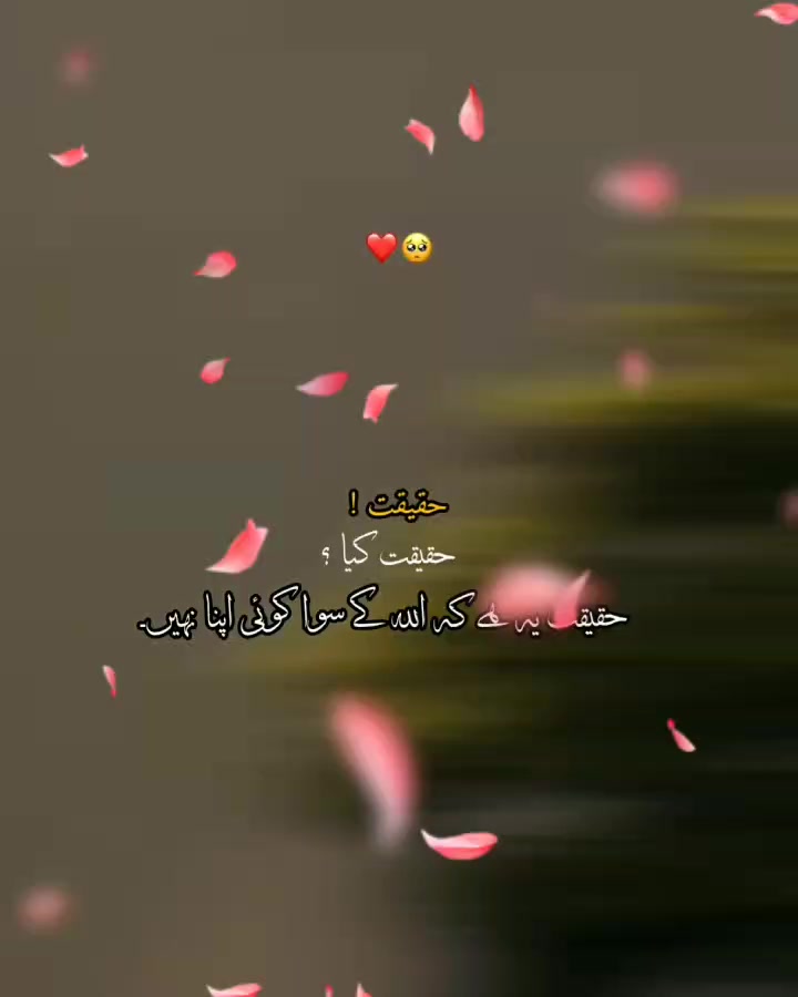 @🦋🦋