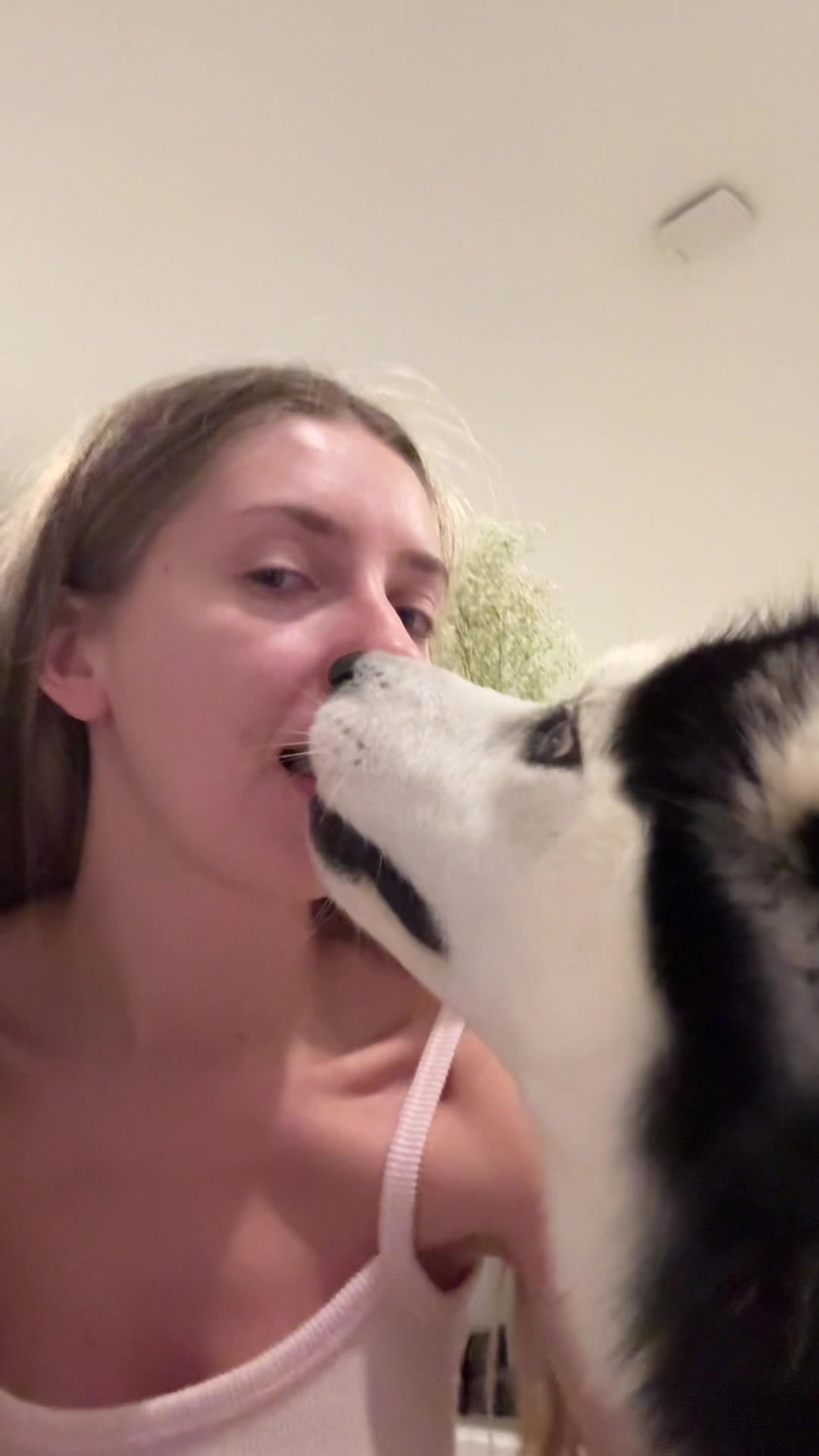 @Husky_mom