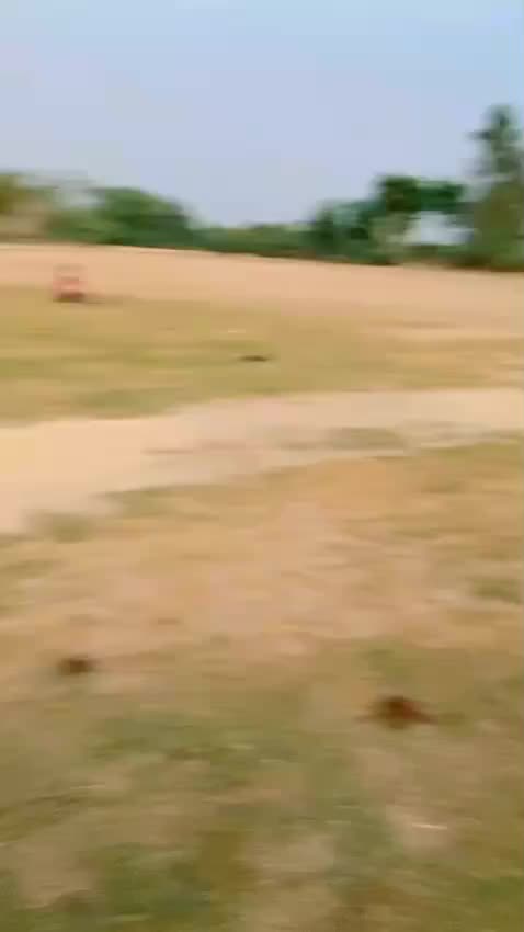 @منور سمبلی ہڈالی