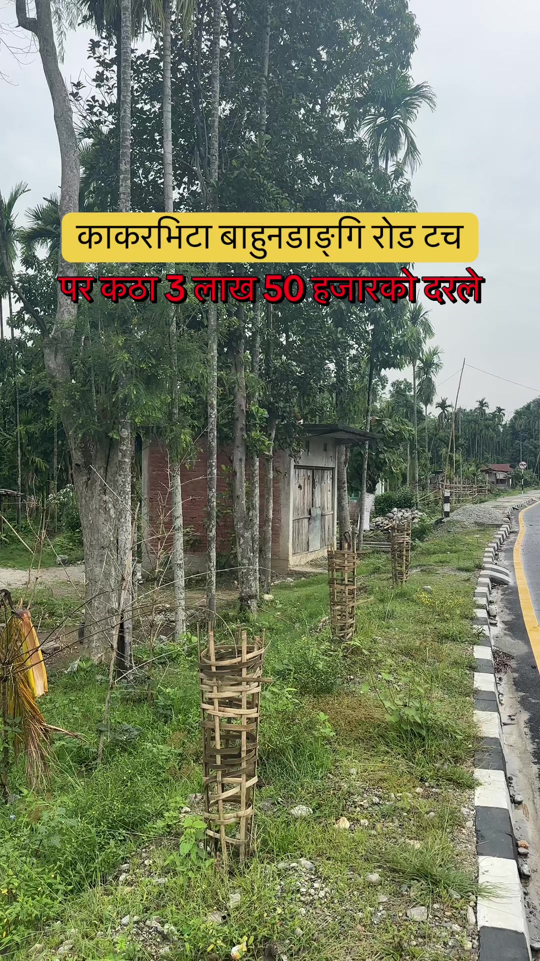 @Maikal ghar jagga
