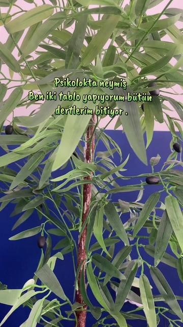 @tugce_kozman