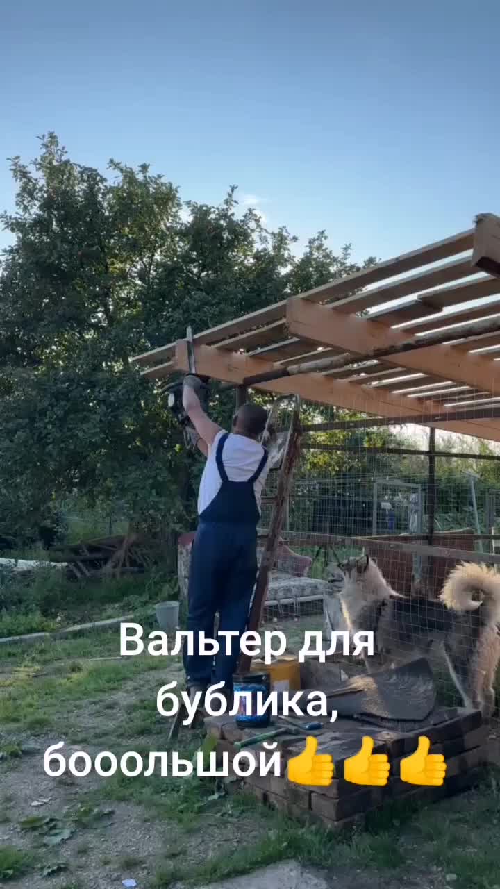 @Сергей