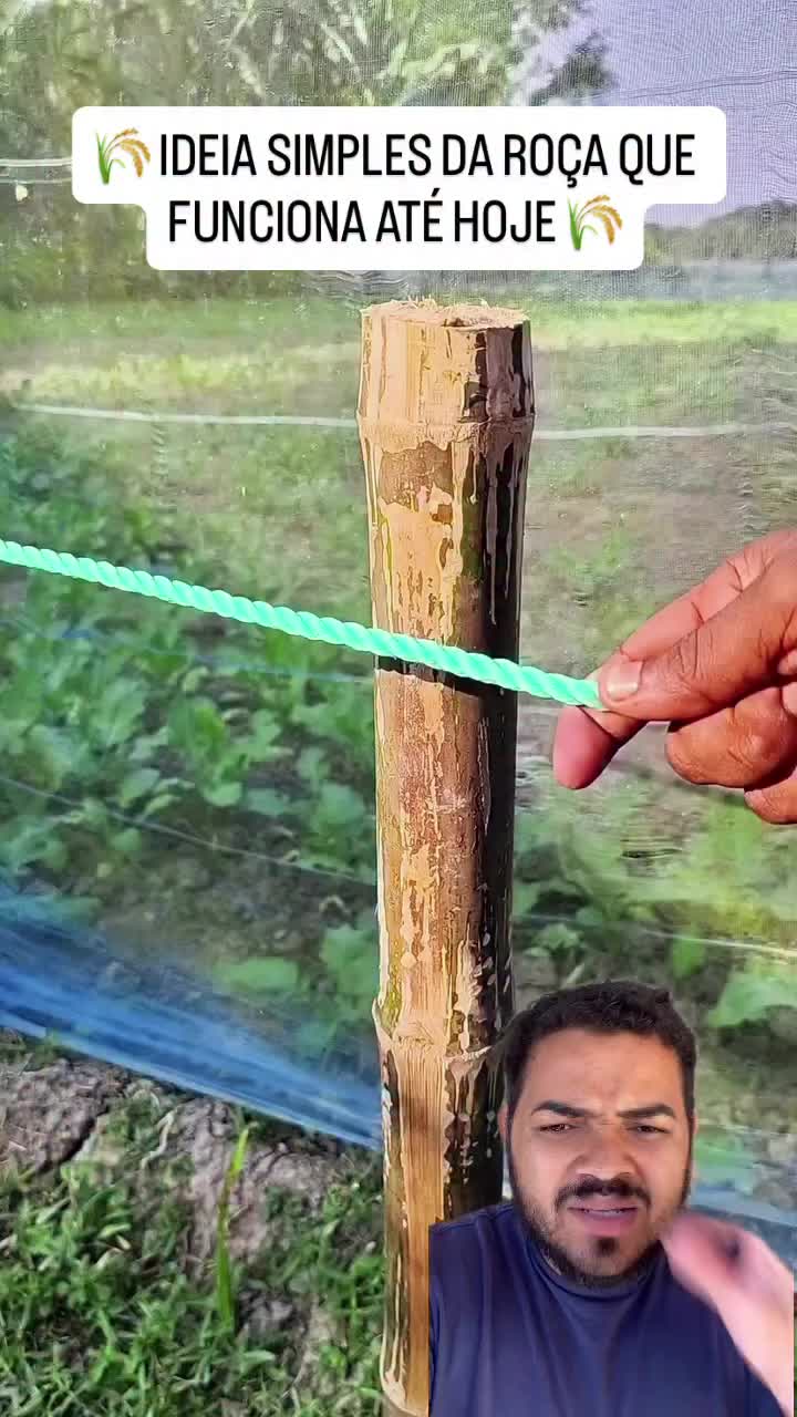 @Obrasilense