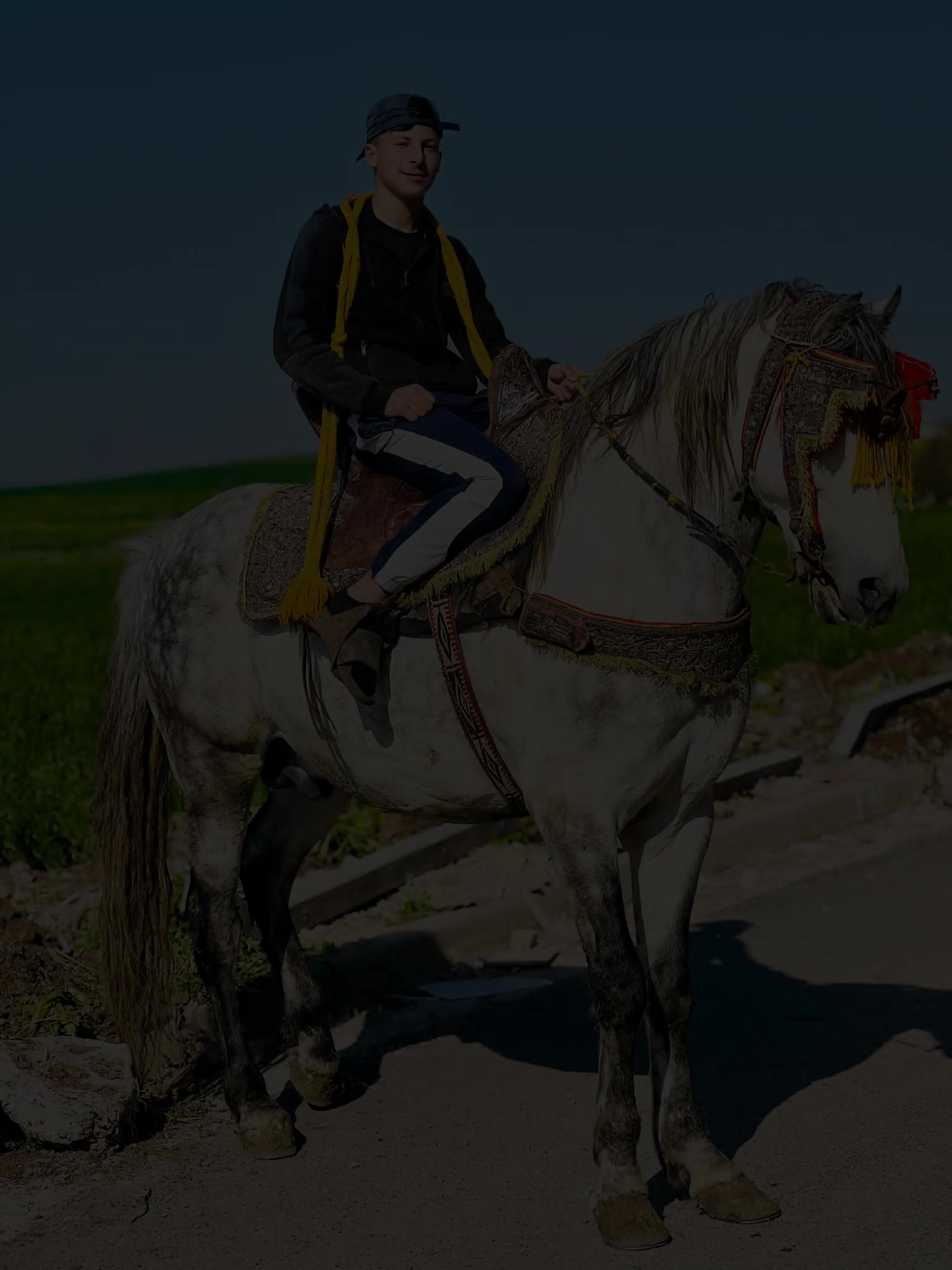 @🔱 𝓐𝓷𝓮𝓼 𝓬𝓱𝓲𝓽𝓪𝓷𝓪💰🐺