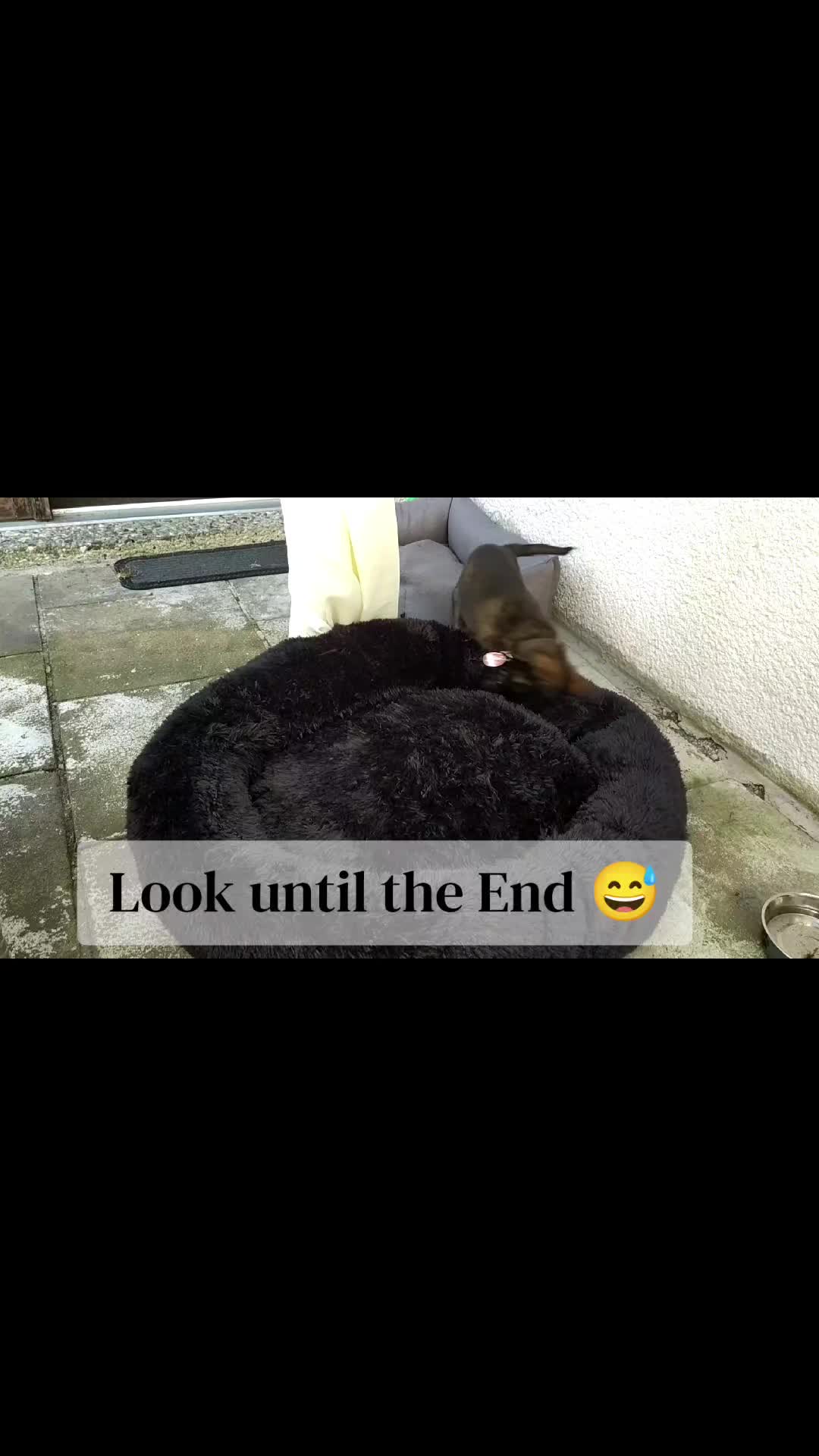@Anna & Neo 🖤🐾