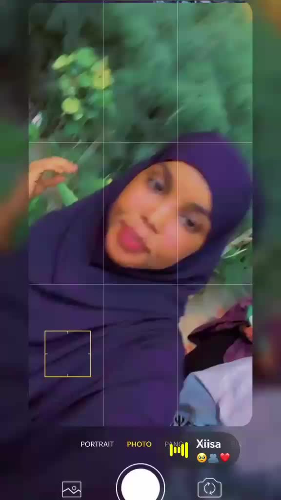 @shimbirta🕊 yar🤍