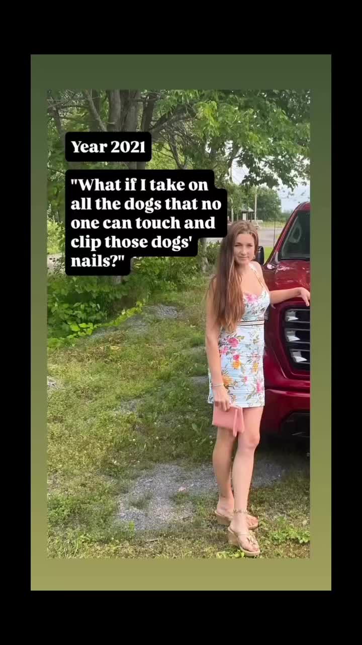 @KAY_THE_DOG_BOSS