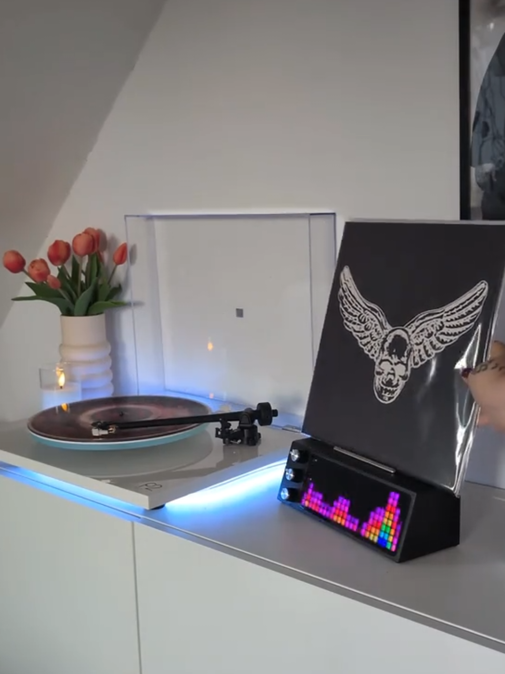 @Chrissy || Vinyl Collector 🎶✨