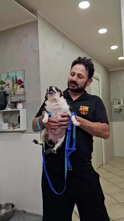 @Ciro Pelliccio