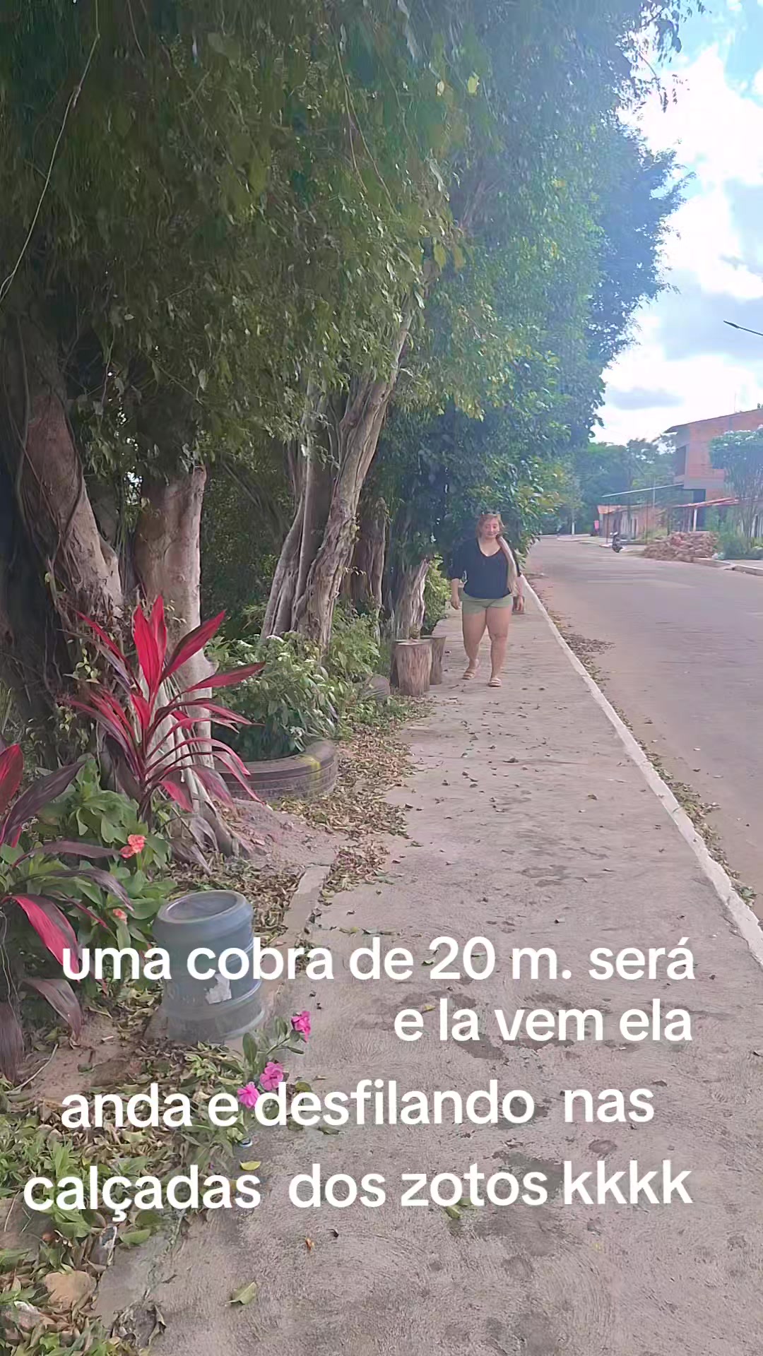 @gracinhatravessinha