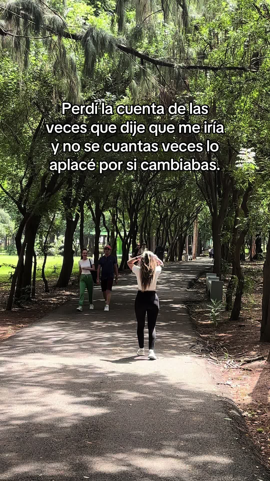 @Ambar Rodriguez