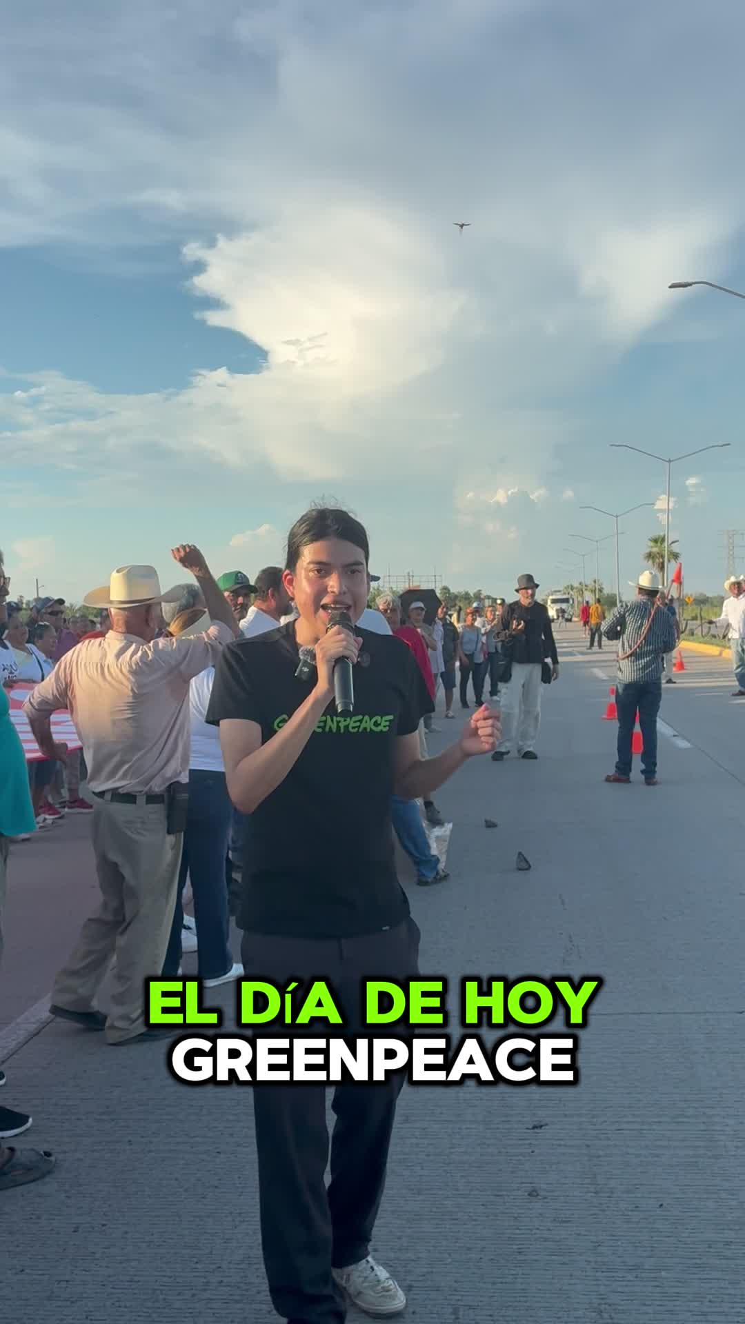 @Greenpeace México
