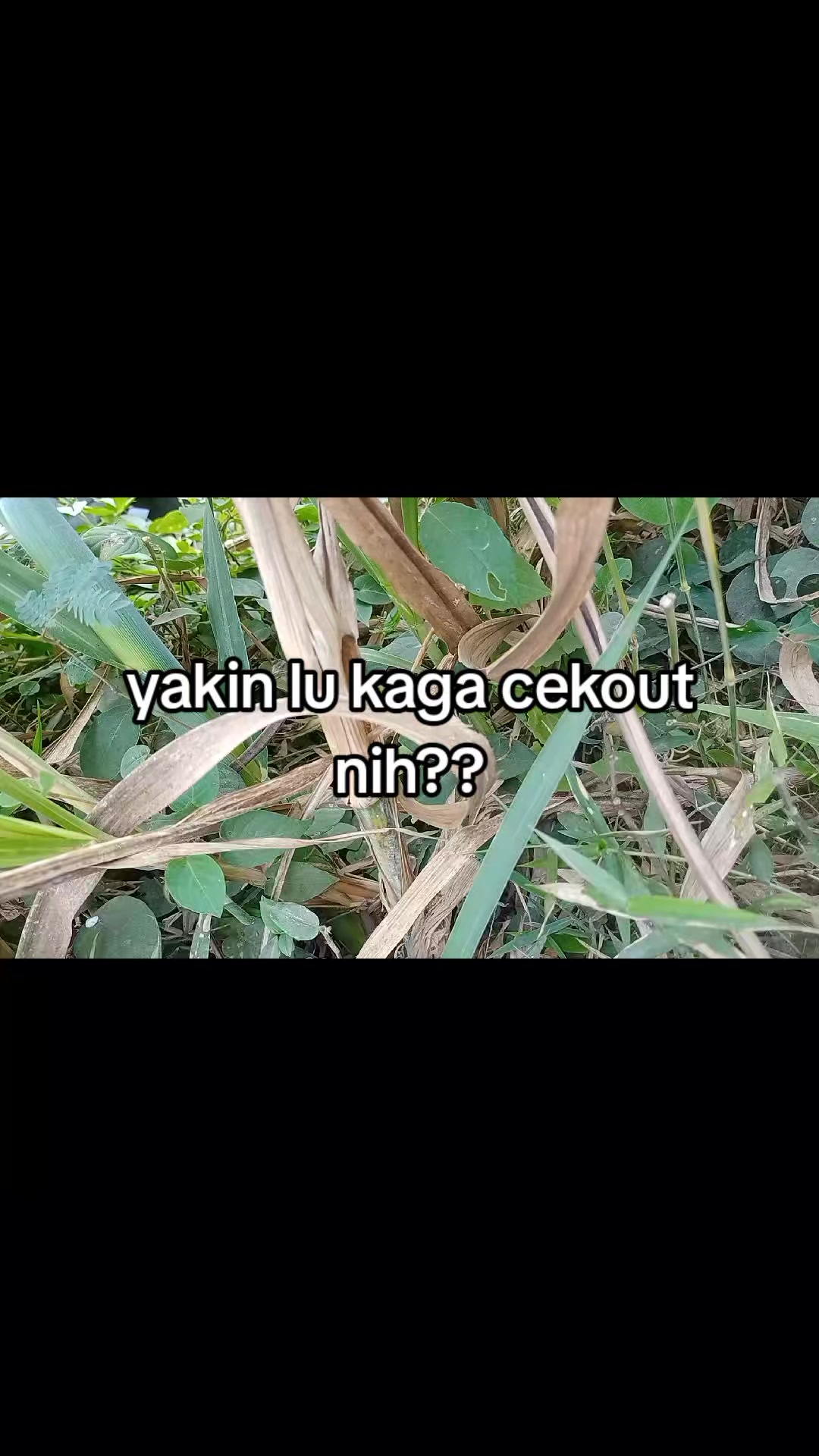 @smuabarang_ada