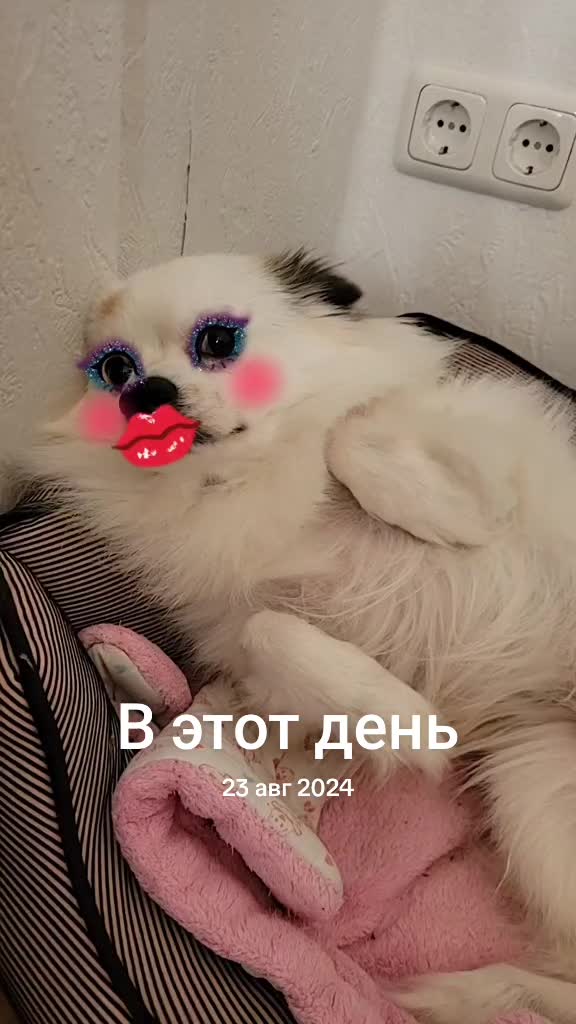@Alena Sokolova