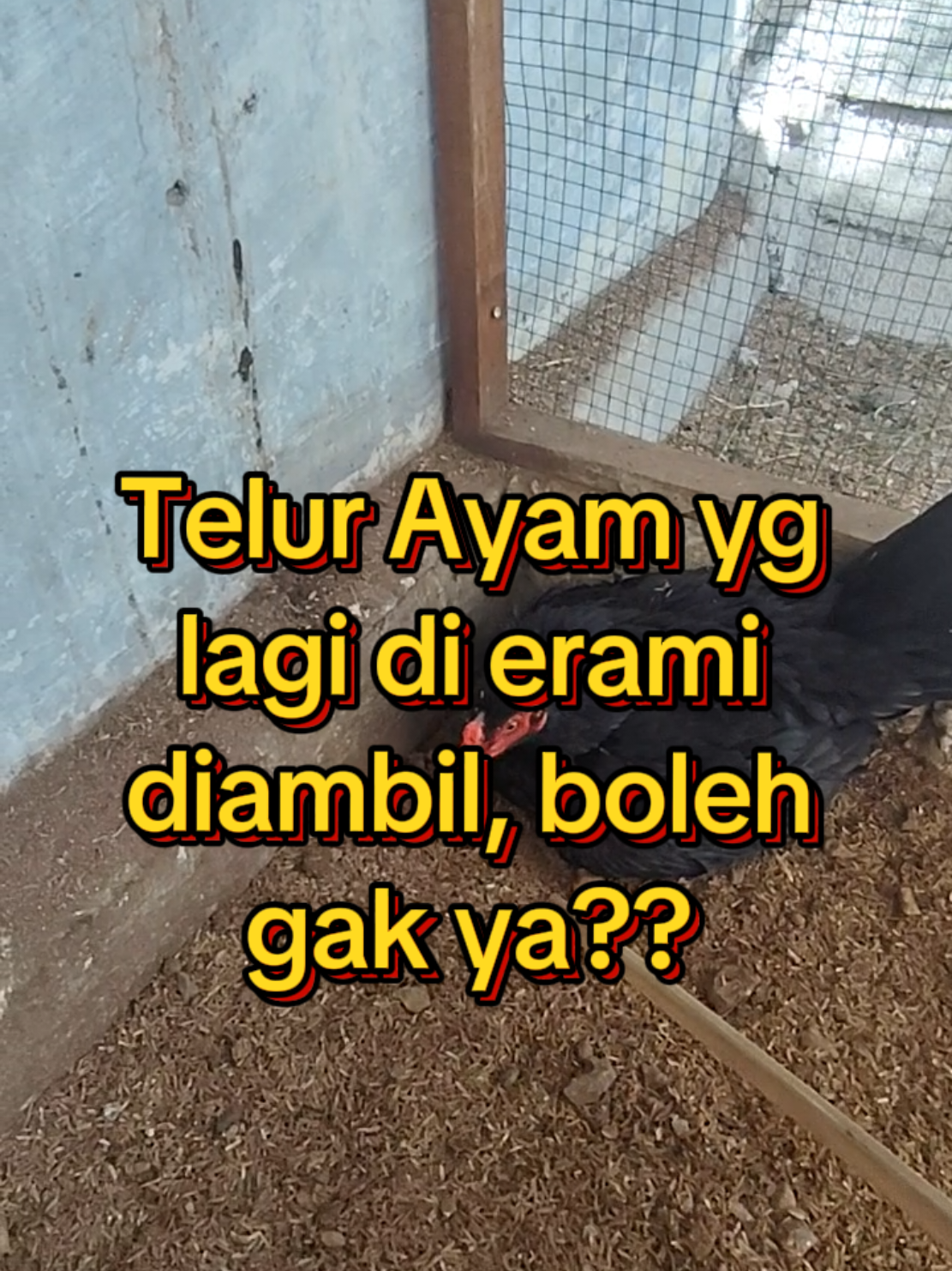 @Prasetya