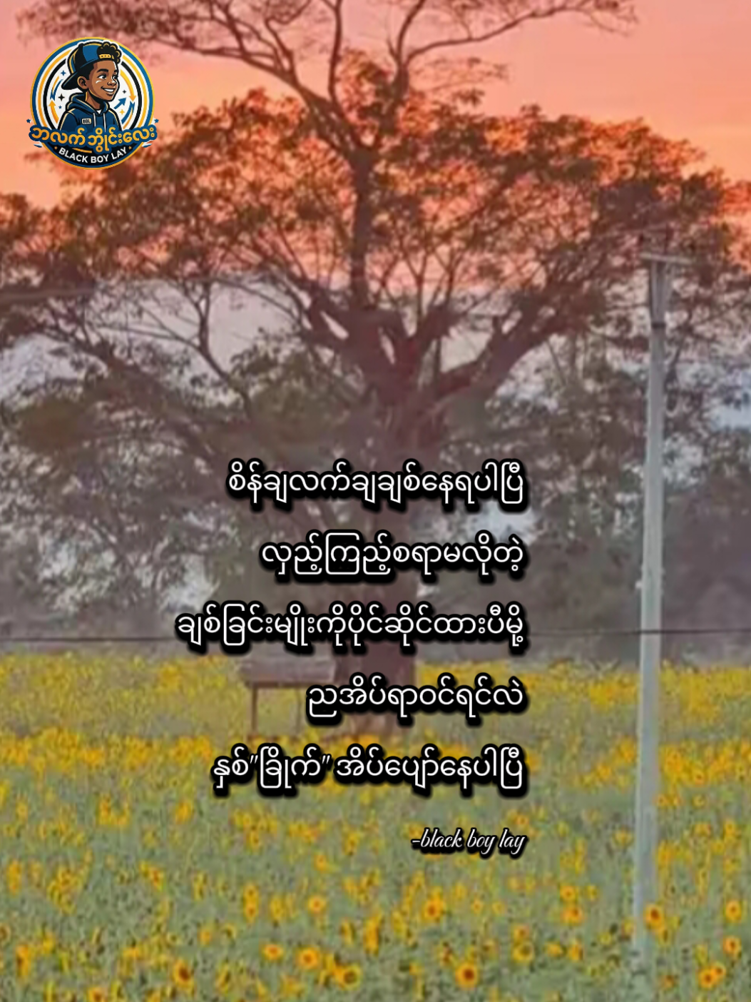 @Black Boy Lay (ဘလက်ဘွိုင်းလေး)