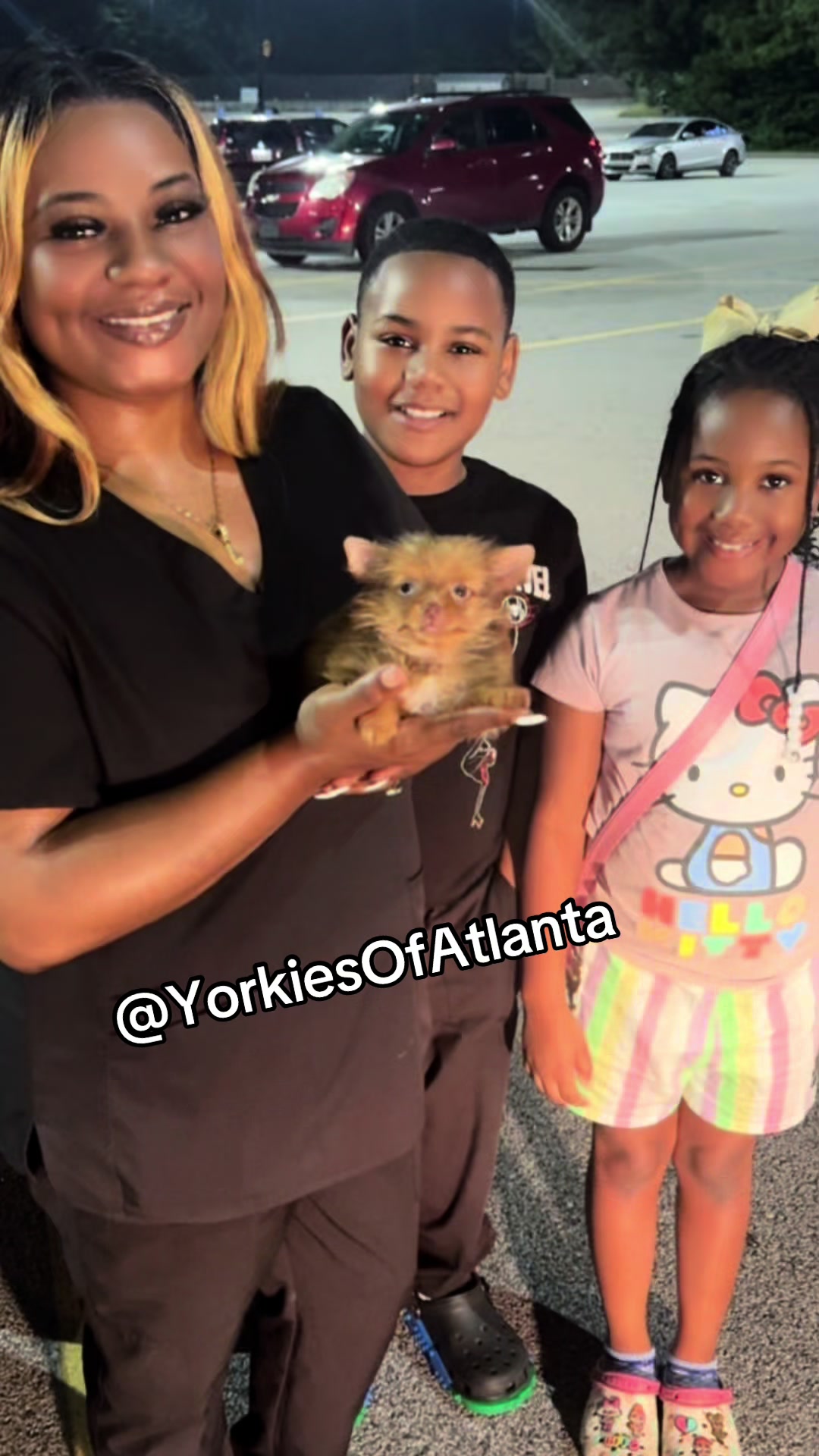 @Yorkies Of Atlanta