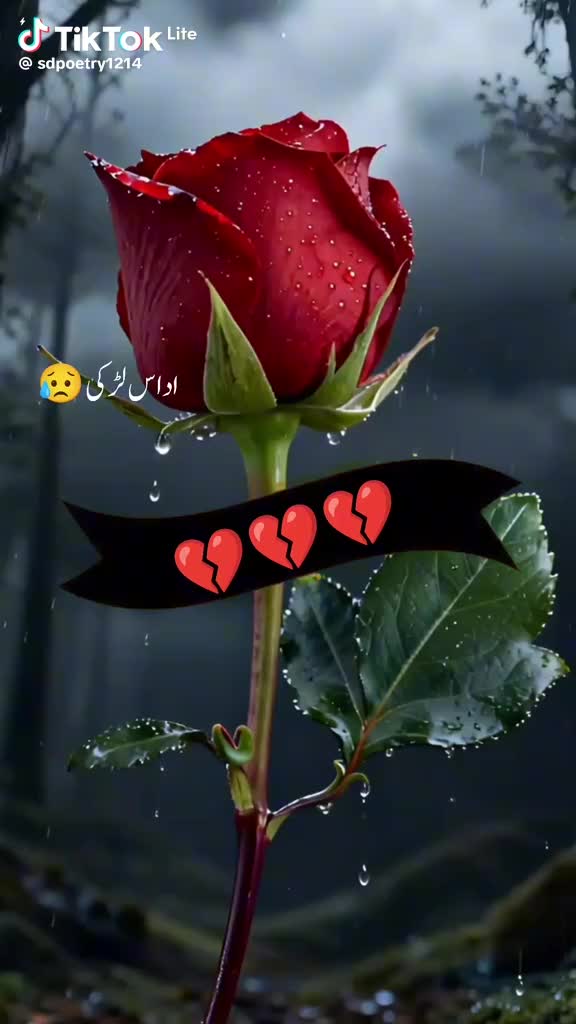 @@zidi kudi