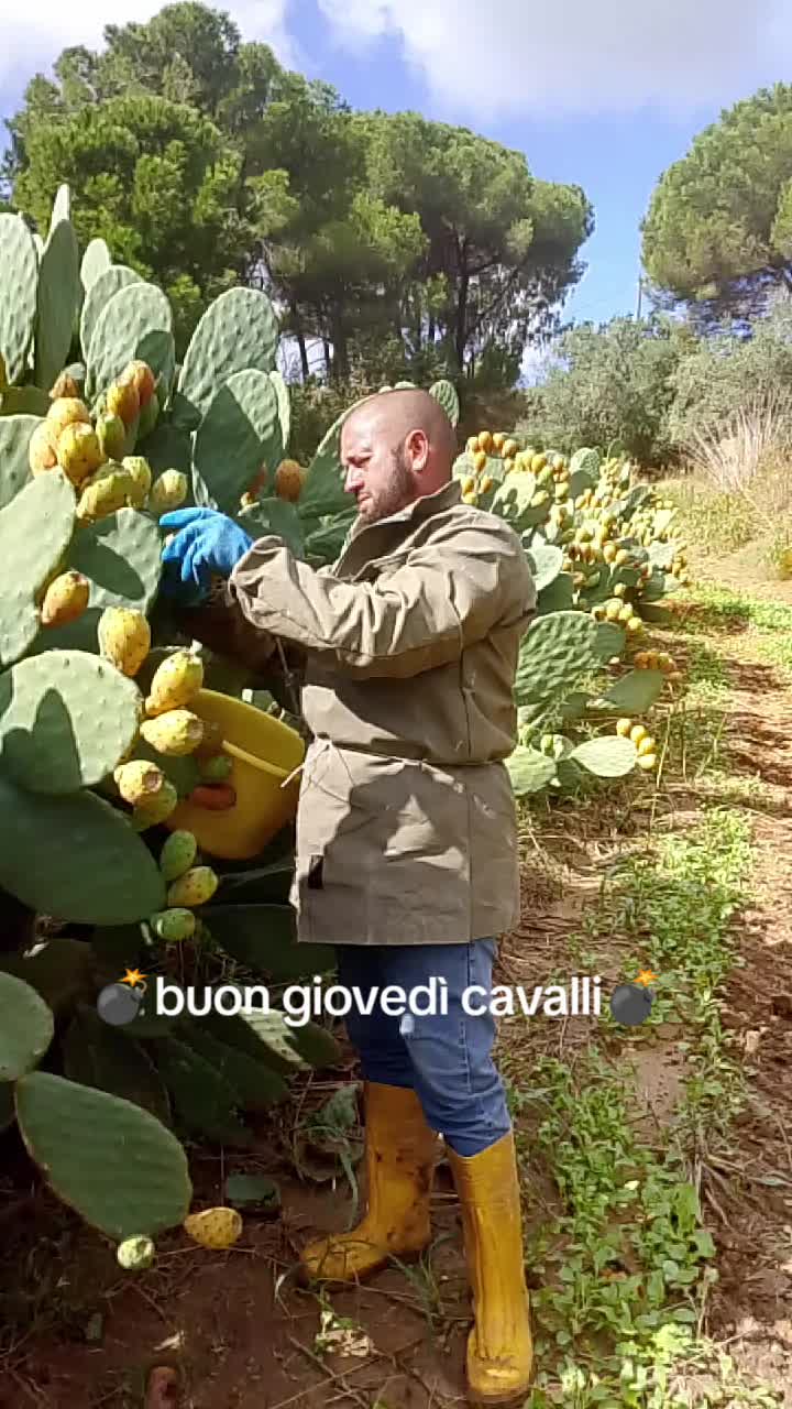 @Stefano Zagara