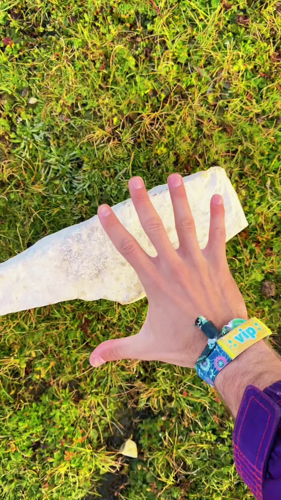 @mega