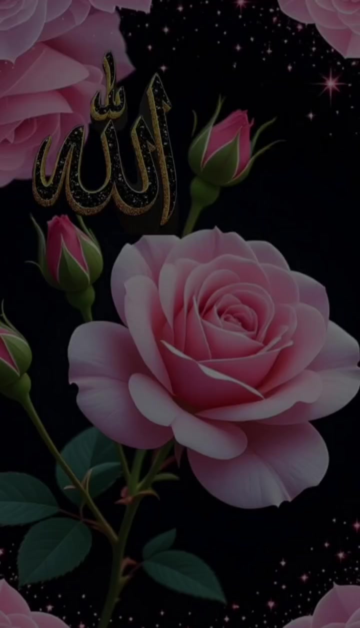 @꧁&hearts;❄ȤӇƲЄƝ ȤӇƲЄƝ❄&hearts;꧂