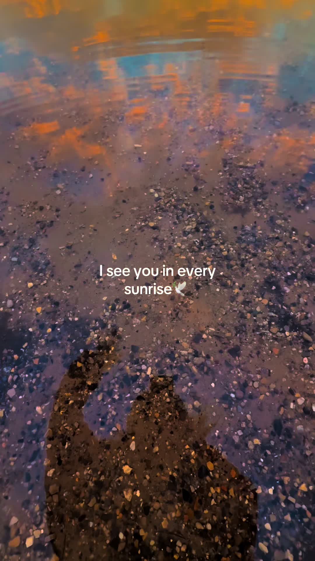 @Jess Rose | Travel Creator