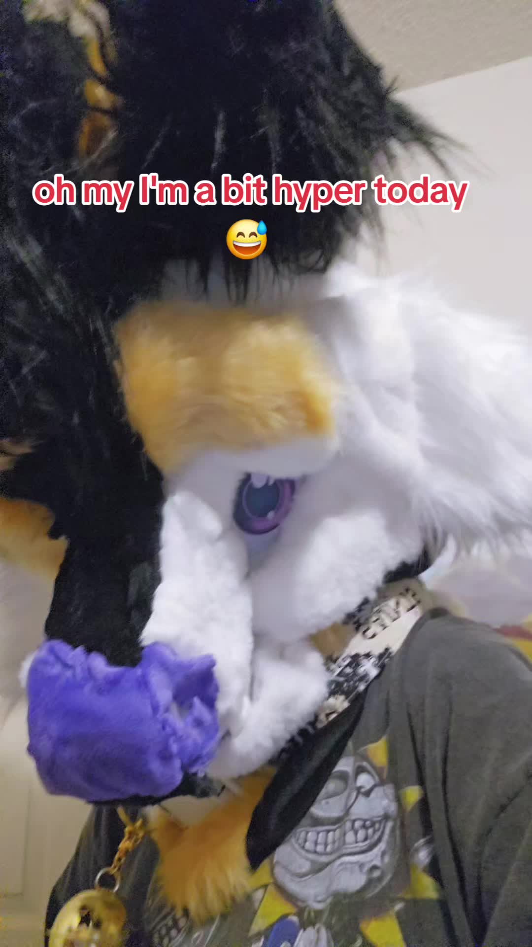 @oreothelynx🔜CFF
