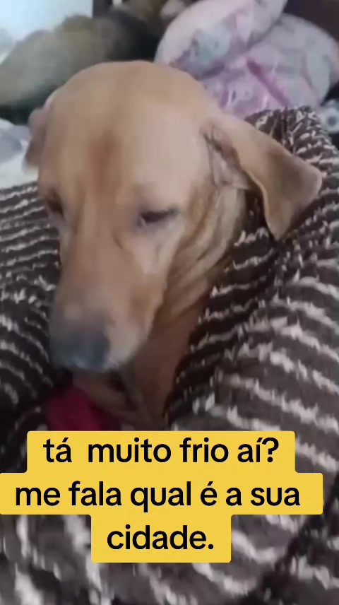 @Eduardo