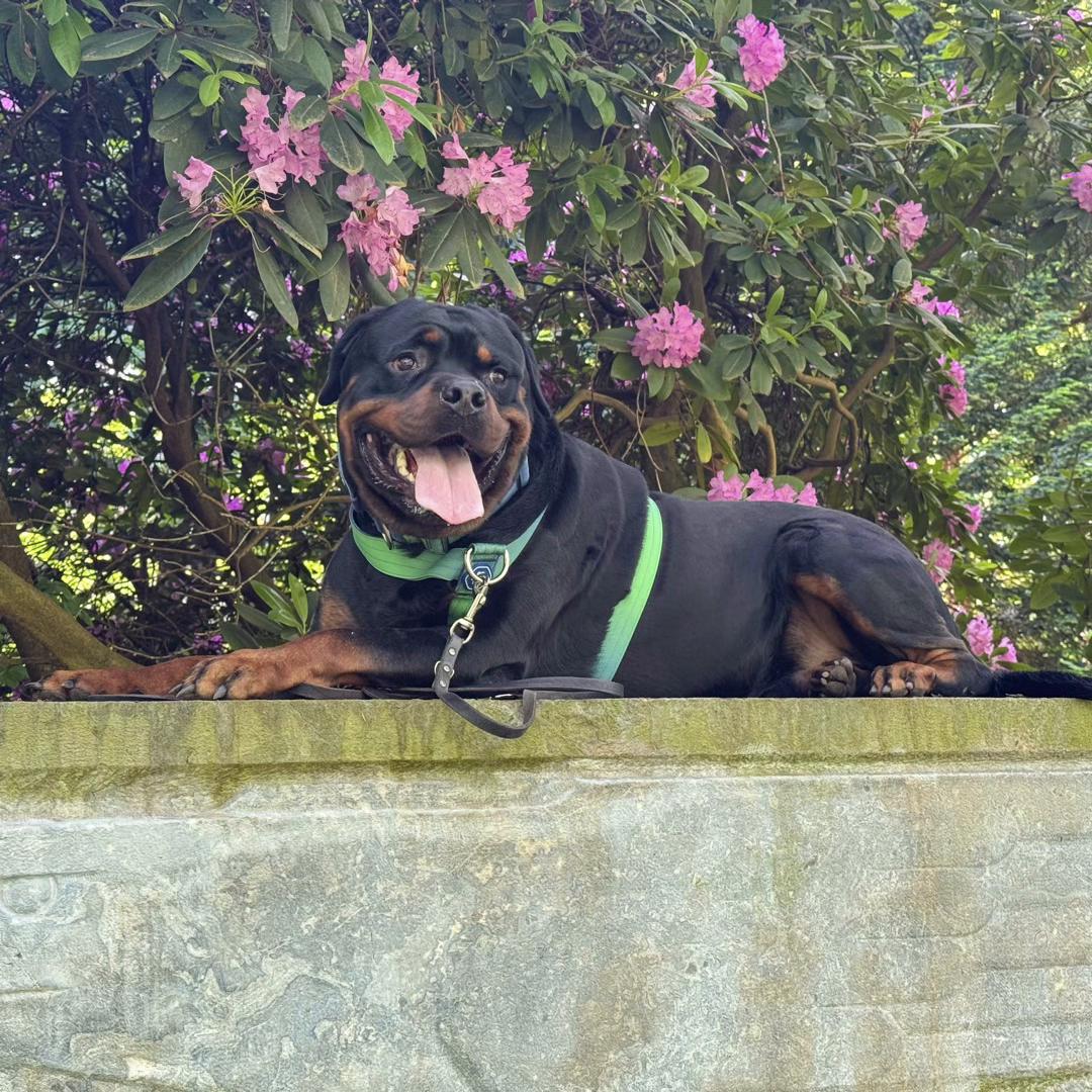 @Saphir🥰🐾
