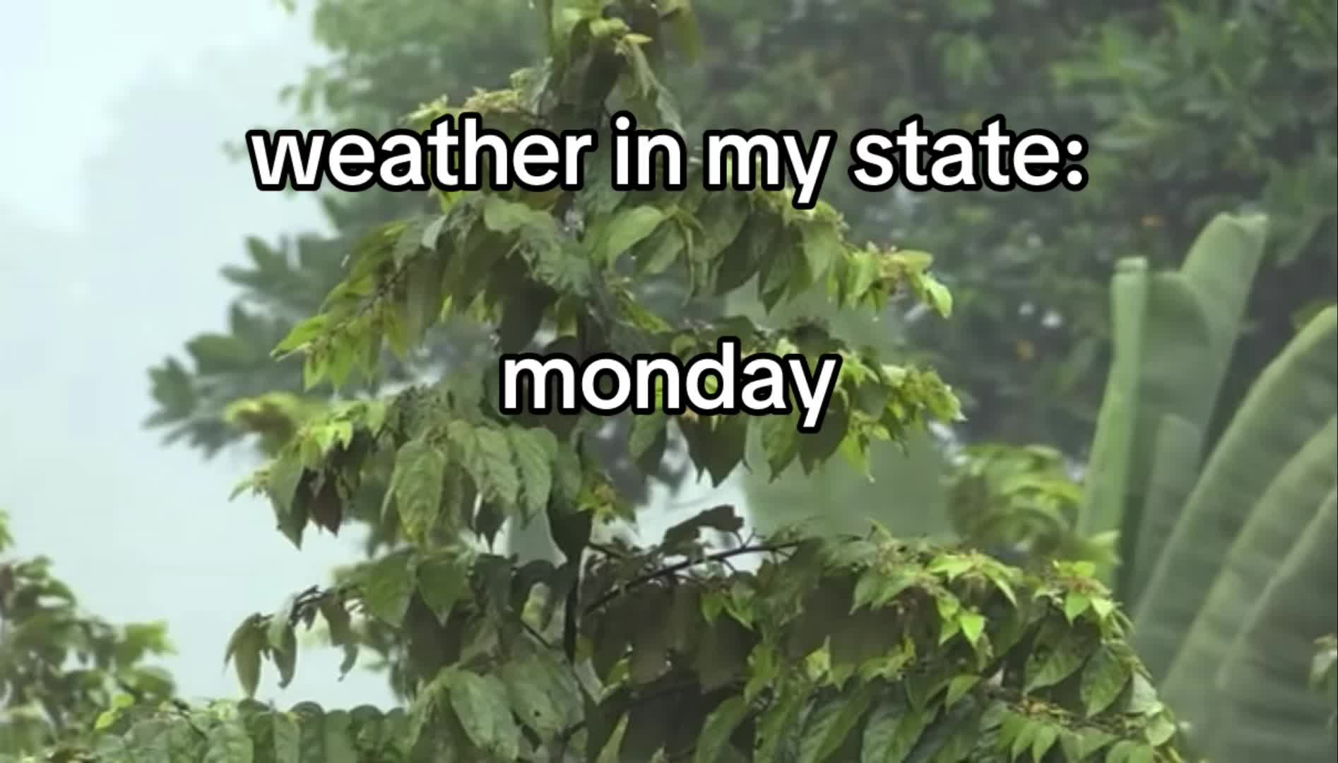 @tori 💚