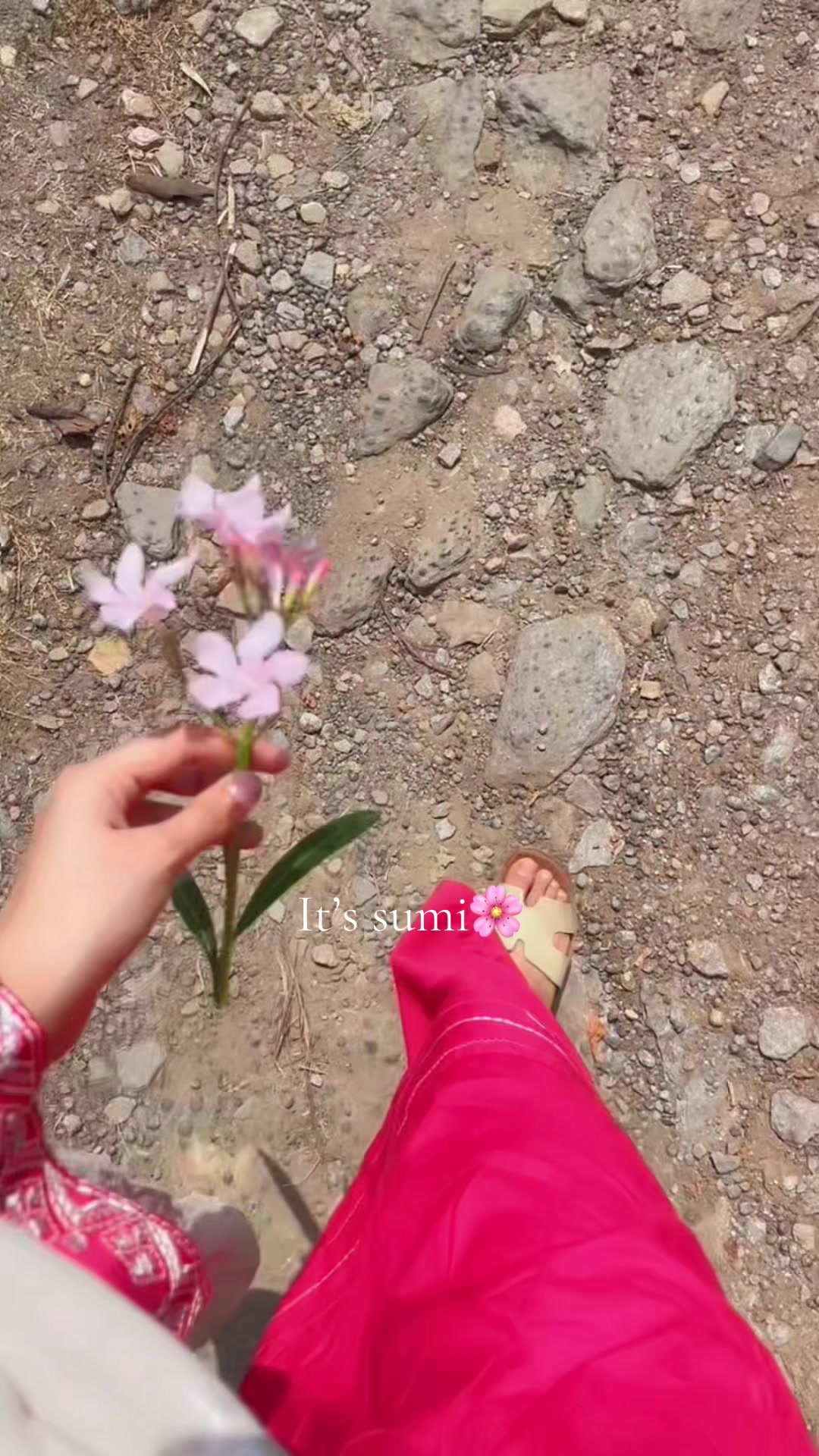 @𝑰𝒕𝒔 𝒔𝒖𝒎𝒊𝒊🌸🫶👀