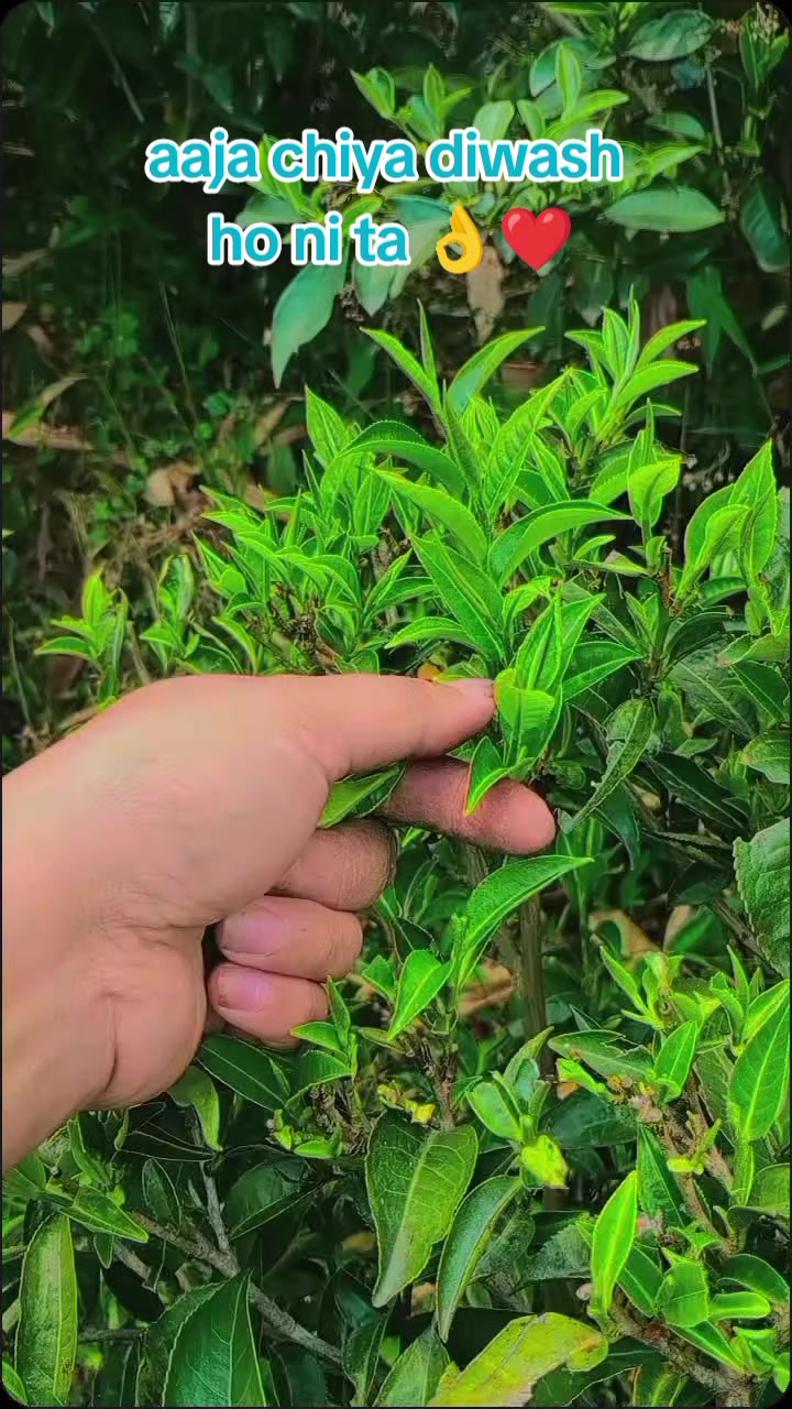 @12/13❤️