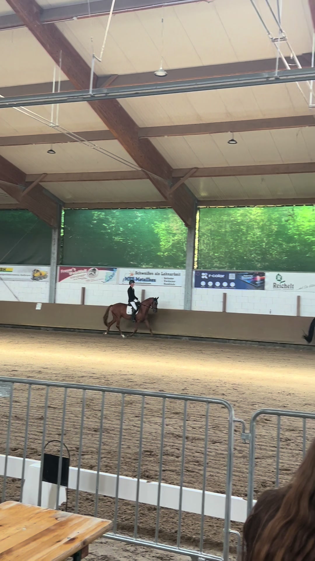 @diaryofequestrian