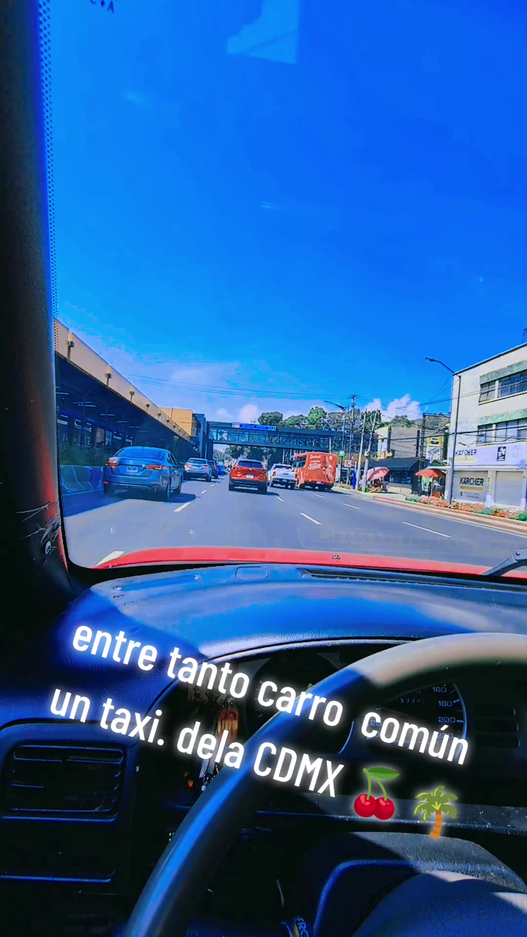 @🍍gansito🍒 paradise🌴