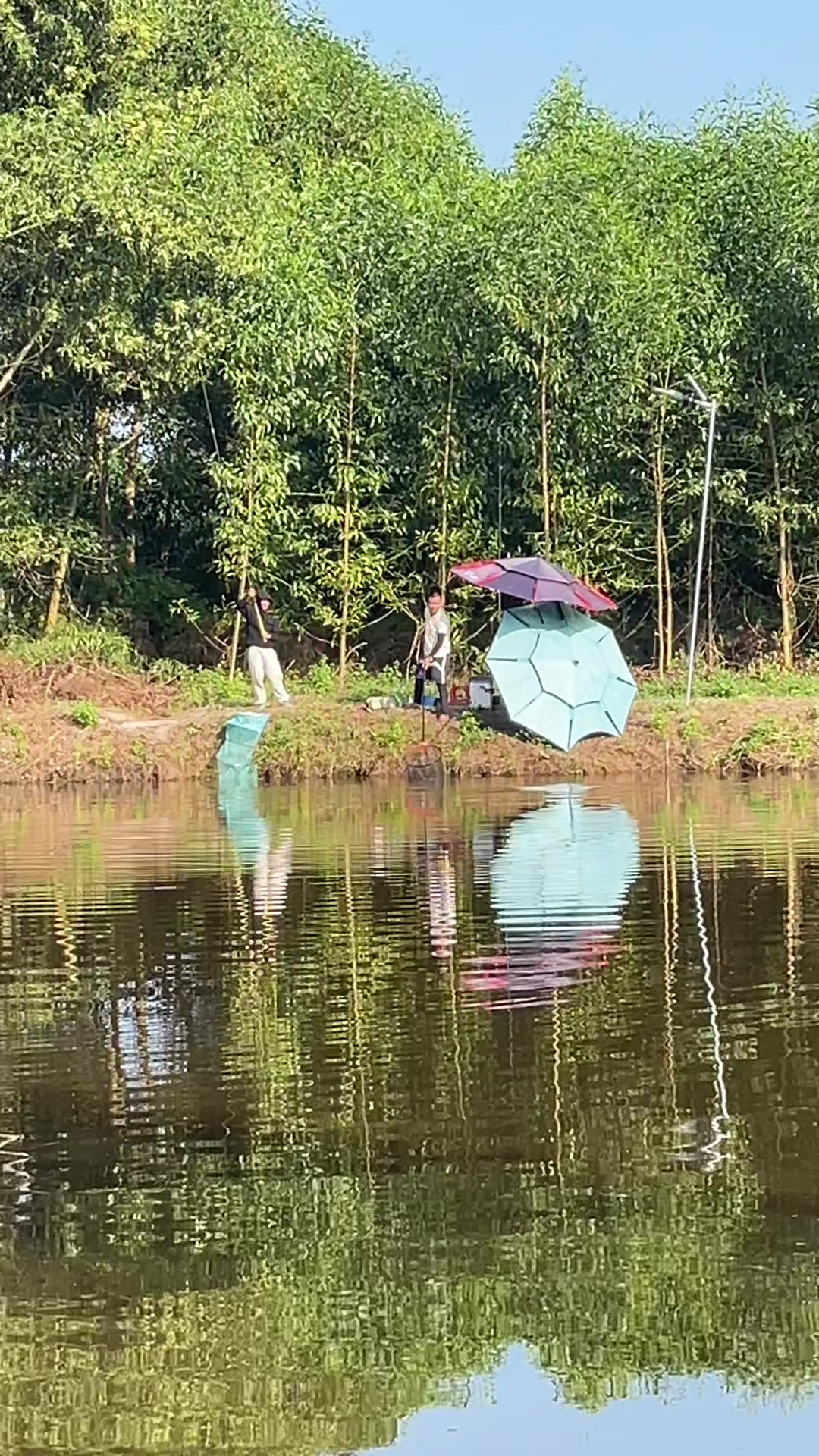 @Ngọc đăng đồ c&acirc;u