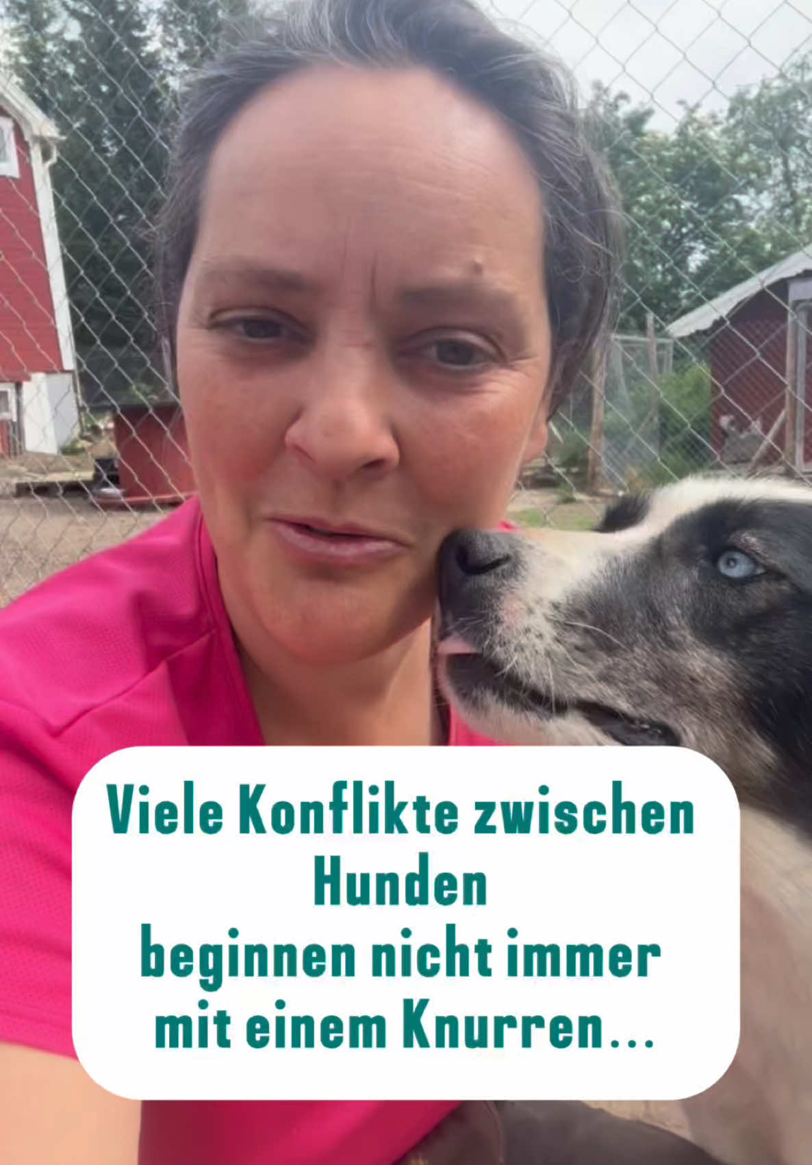 @Mehrere Hunde, ein Team!