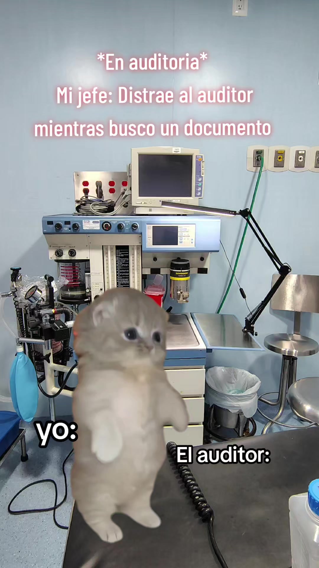 @⚡𝓢𝓽𝓮𝓹𝓱𝓪𝓷𝓲𝓮 𝓢𝓬𝓱𝔃⚡