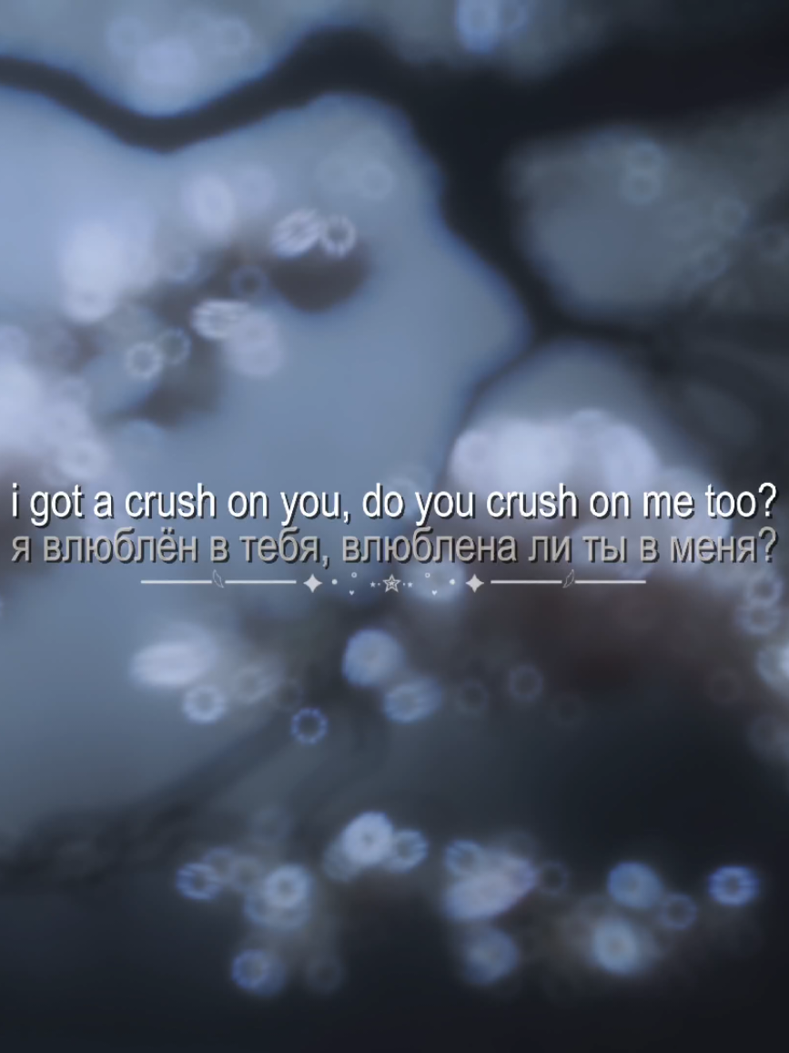 @'.𝙚́𝙪𝙥𝙝𝙤𝙧𝙞𝙖`🪷 ˎˊ˗