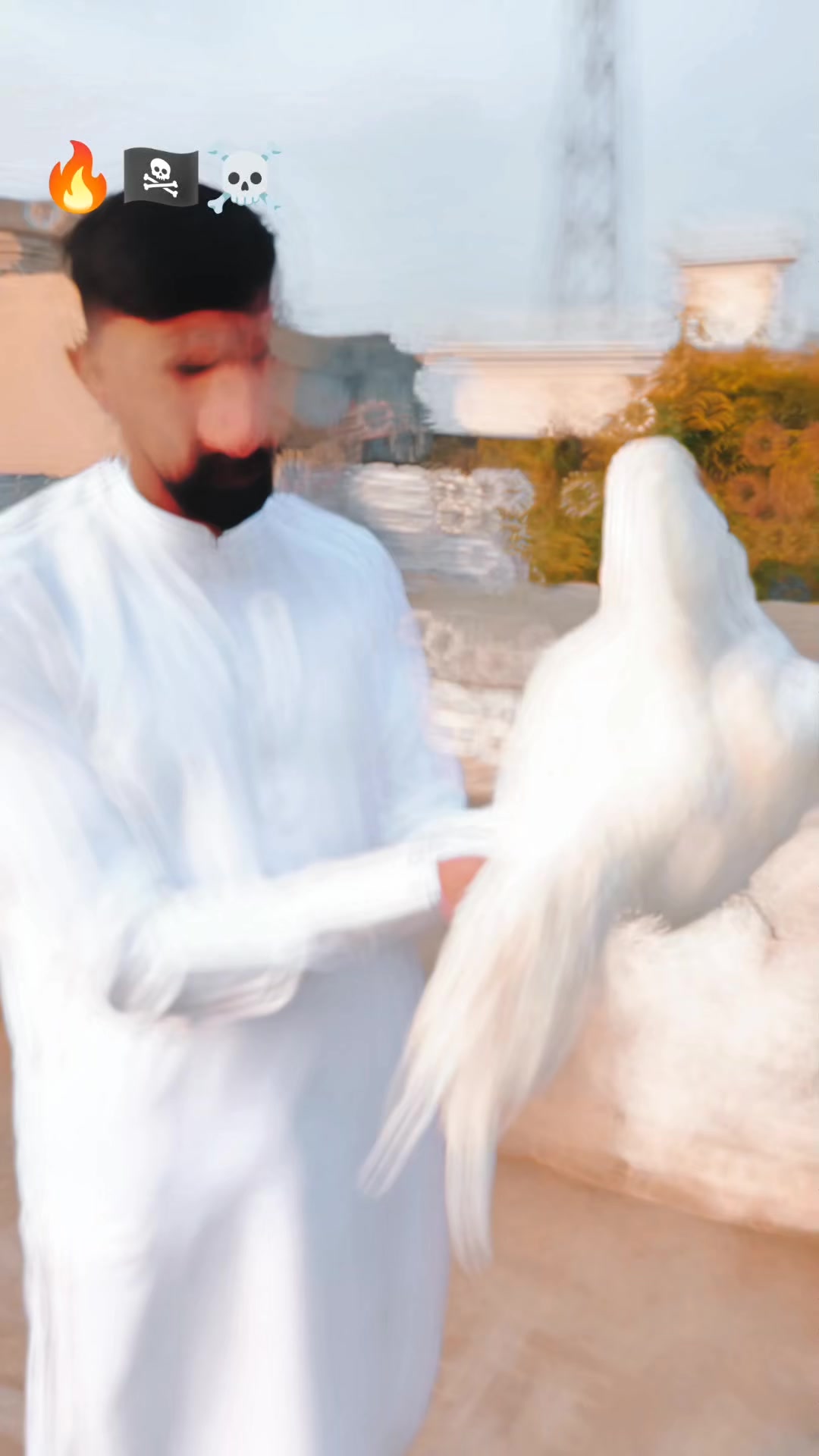 @Raja Adeeb Arif