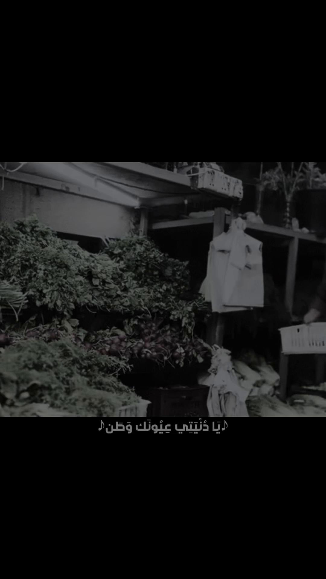 @sameh_elalfy16