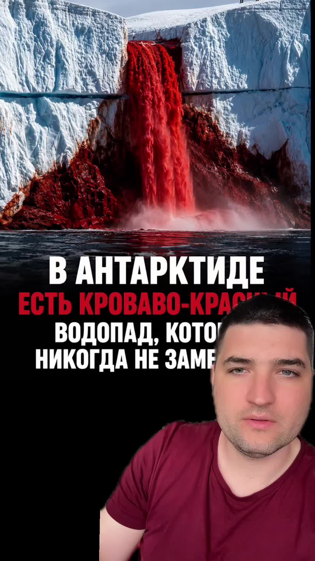 @Dovod Brat